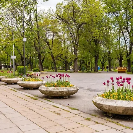 Superior Next To Zaimov Park In Sofya